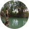 asaf levy Avatar
